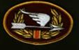 http://www.vietnam-on-line.com/hph/Suutap/Phuhieu/Logo_BDQ_Arrow.jpg