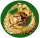 http://www.vietnam-on-line.com/hph/Suutap/Phuhieu/Logo_TQLC_Mu.jpg
